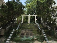 -九龙公园