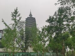 -西海子公园