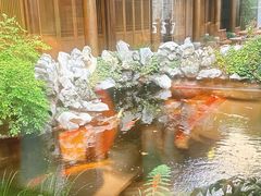-鲤院·新中式美学·庭院餐厅(夫子庙店)