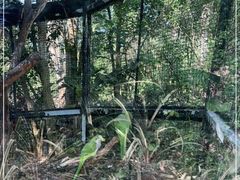 -海南热带野生动植物园