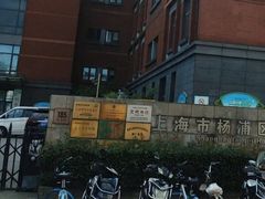 -上海市杨浦区中医医院