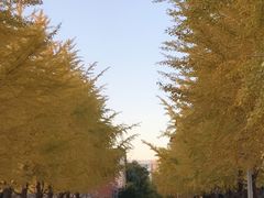 -辽宁大学(崇山校区)