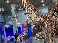 -国家自然博物馆