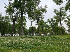 -狼山风景名胜区