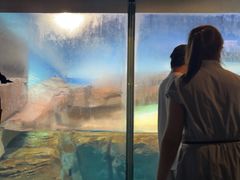 -海合安武汉极地海洋公园