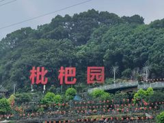 -枇杷园食为鲜火锅(南山店)