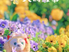 -上海辰山植物园