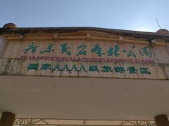 -广东茂名森林公园