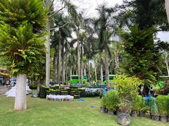 -深圳仙湖植物园