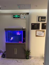 -海涛医疗美容·面部抗衰·注射美鼻