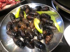 -火炉旺烤肉啤酒屋(沈北创始店)