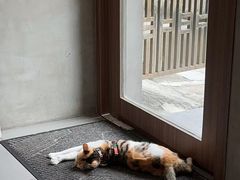 -Again Coffee Roaster(香蜜湖店)