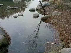 -江南天池
