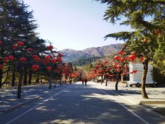 -香山公园