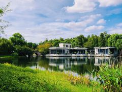 -上海共青森林公园