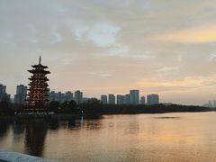 -洋湖国家湿地公园