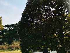 -上海虹桥迎宾馆