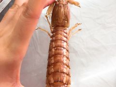 -渔民船说·北塘海鲜·天津菜·海肠捞饭(北塘古镇店)
