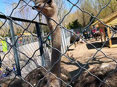 -长白岛森林公园