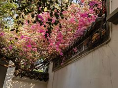 -深圳国际园林花卉博览园