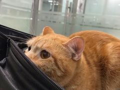 -宠颐生中康贝怡动物医院
