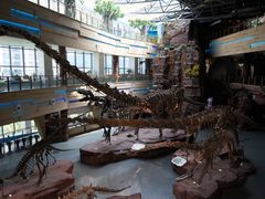 -安徽省地质博物馆