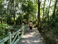 -四会奇石河风景区
