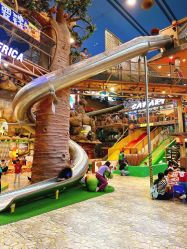 -卡通尼·Safari非洲探索乐园·生日会(金桥国际商业广场店)