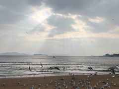 -青岛海滨风景区