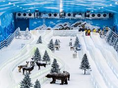 -世界之窗阿尔卑斯冰雪世界