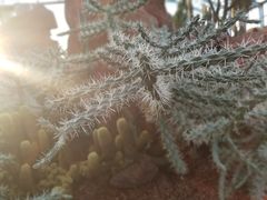 -南通洲际绿博园