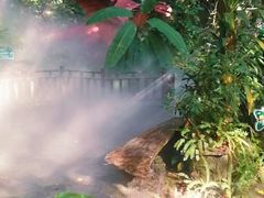 -呀诺达热带雨林