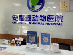 -宠福鑫动物医院·动物疾病诊疗中心(天通苑店)