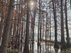 -东湖落雁景区