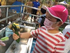 -上海市浦东新区恒宇幼儿园(杨南部)