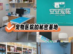 -安安宠医·臻爱宠物医院·宠保定点(营门口路分院)