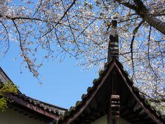 -范蠡湖公园