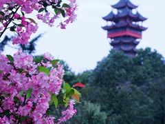 -塔子山公园