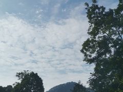-青城山