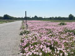 -汉长安城未央宫国家考古遗址公园
