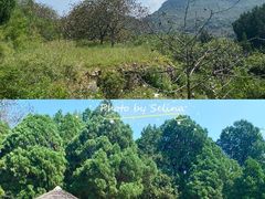 -四门塔风景区