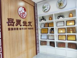 -岳灵生发养发馆