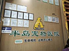 -半岛宠物医院24小时·内窥镜·牙科·碎石中心(府城大道店)