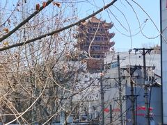 -长春观