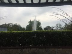 -成飞公园