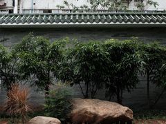 -晓港公园