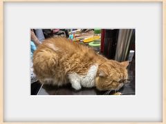 -汝港酒家·手工茶点·粤菜(滨江东旗舰店)