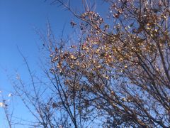 -大连金石滩绿发温泉假日酒店