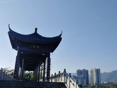 -飞来湖湿地公园