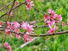 -下渚湖·湿地公园